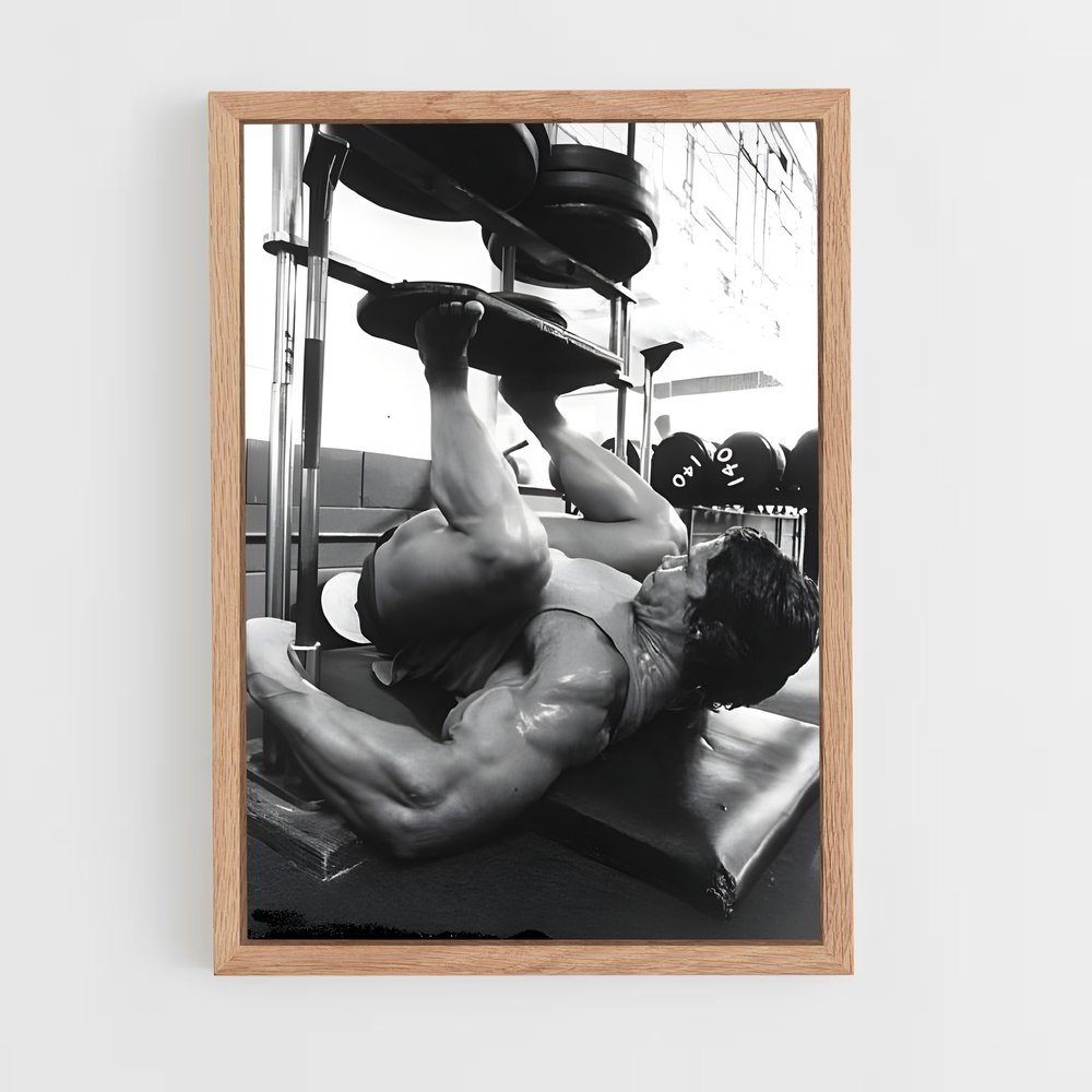 Poster Arnold de classic – affiche Compétitions de gymnastique (vue 4)